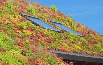 Embleton living roof systems
