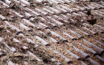 Embleton roof cleaning companies