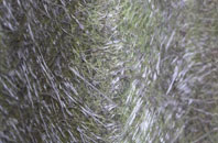 Embleton fibreglass roof work